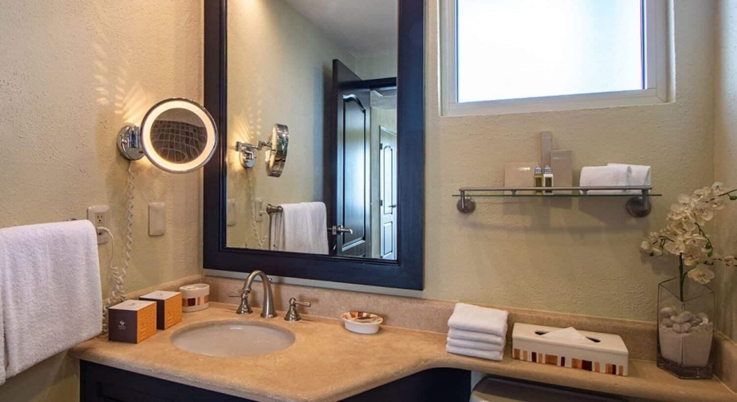 A bathroom with granite countertops, a sink, white towels, mirror, and lit magnifying mirror, with bath amenities and a vase of white flowers in the corner.