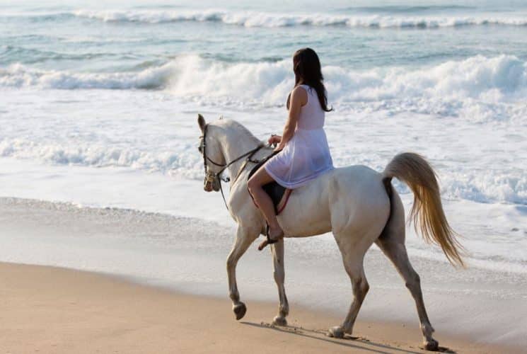 A woman dressed in white riding a white horse on the sand along the beach with waves in the ocean