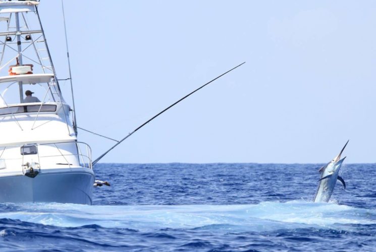 a fishing boat with a marlin coming out of the water