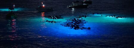 people snorkeling at night looking at the bright bioluminescence under the ocean