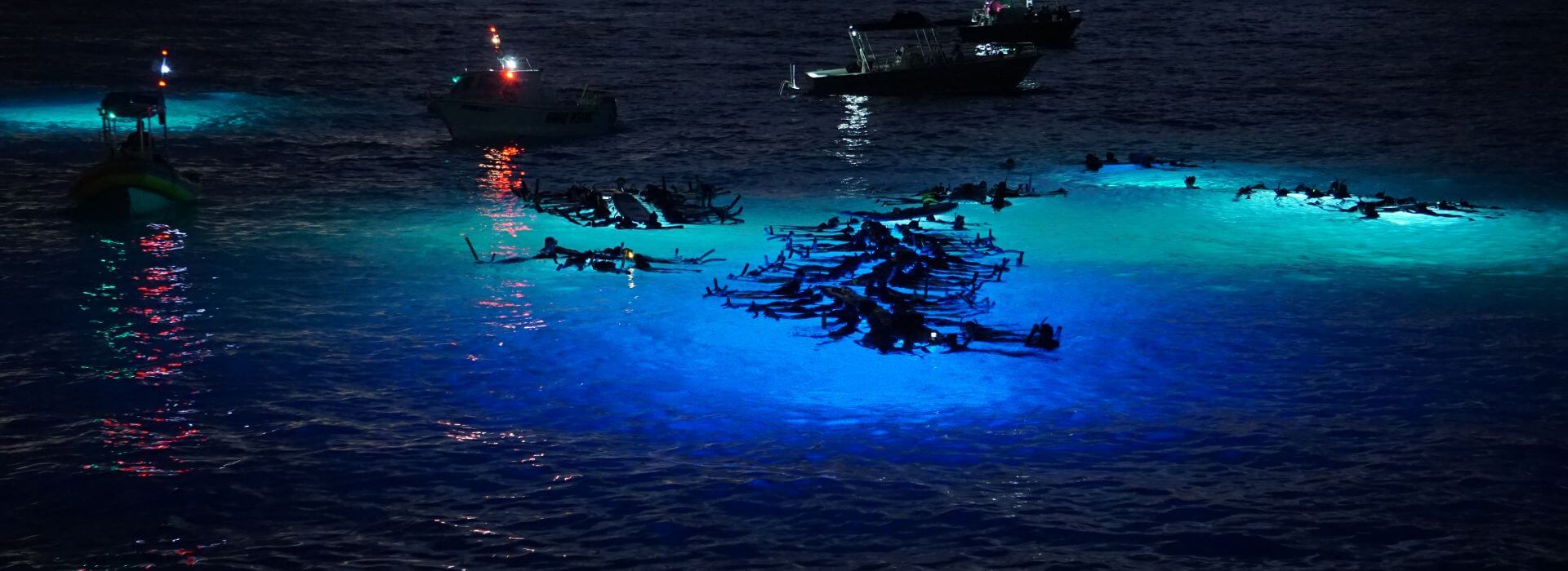 people snorkeling at night looking at the bright bioluminescence under the ocean